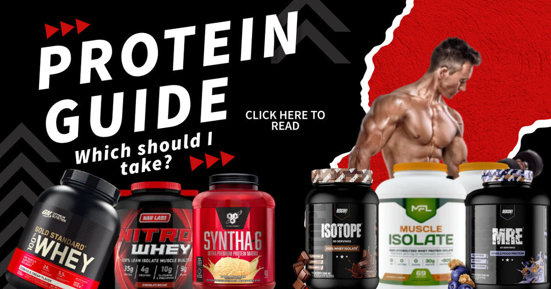 The Ultimate Guide to Different Types of Protein Powders